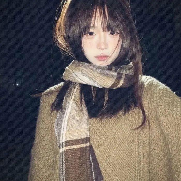 绽放的玫瑰